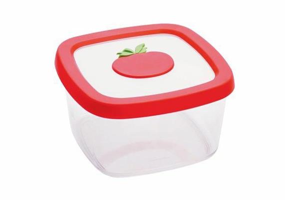 BARATTOLO POMODORO AROMA CONTAINER 1LT SNIPS