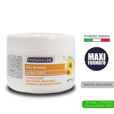 GEL ARNICA 250 ML