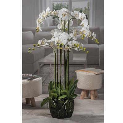 PIANTA ORCHIDEA TOUCH BIANCA 9 GAMBI 28XH110 CM