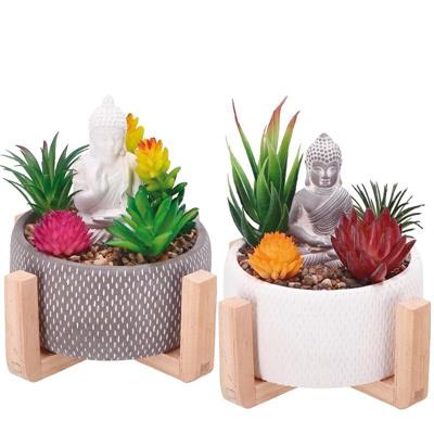 PIANTA GRASSA CON VASO BUDDHA D.16XH18 CM 2 COLORI ASS