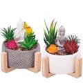 PIANTA GRASSA CON VASO BUDDHA D.16XH18 CM 2 COLORI ASS