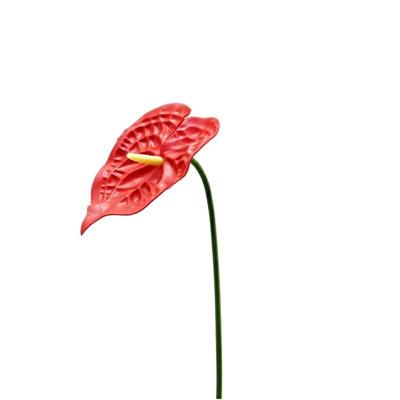 FIORE ANTHURIUM 60 CM