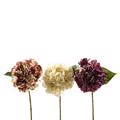 FIORE DI SCABIOSA 45 CM COLORI ASS