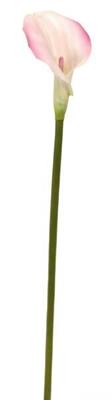 FIORE RAMO CALLA 78CM COLORE CREAM LILLA