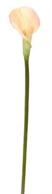 FIORE RAMO CALLA 78CM COLORE PINK