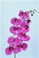 FIORE RAMO ORCHIDEA 9FIORI COLORE PURPLE