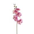 FIORE RAMO ORCHIDEA 5FIORI 77CM COLORE ORCHID