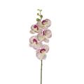 FIORE RAMO ORCHIDEA 5FIORI 77CM COLORE WHITE