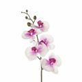 FIORE RAMO ORCHIDEA 5FIORI 77CM