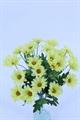 FIORE MAZZO GERBERA 25FIORI 54CM COLORE YELLOW