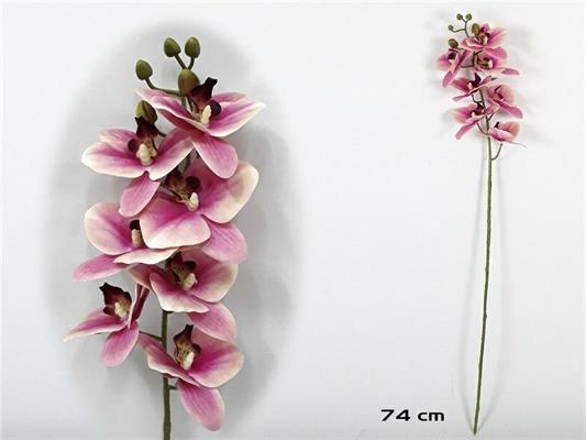 FIORE CYMBIDIUM 74 CM COLORE FUCSIA