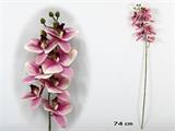 FIORE CYMBIDIUM 74 CM COLORE FUCSIA