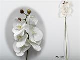 FIORE ORCHIDEA 70 CM COLORE BIANCO