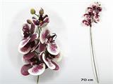 FIORE ORCHIDEA 70 CM COLORE VIOLA