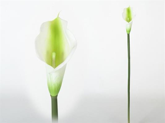 FIORE CALLA 72CM COLORE VERDE