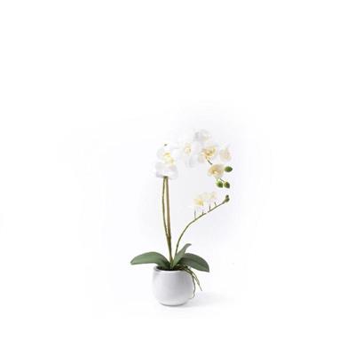 FIORE ORCHIDEA IN VASO BIANCA 48 CM