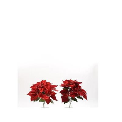 FIORE STELLA DI NATALE 5 FIORI 35 X 25 X 25 CM ASS