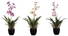 FIORE VASO CON ORCHIDEE 14 X H70 CM 6 COLORI ASS