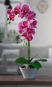 FIORE ORCHIDEA 12FIORI CON VASO D.12XH44CM 4COLORI ASS.