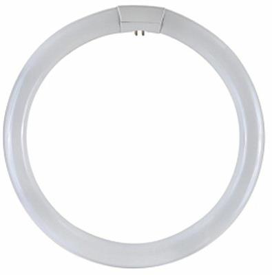 LAMPADINA CIRCOLINA G10Q 32W 6500K 1900LUMEN TRIFOSFORI