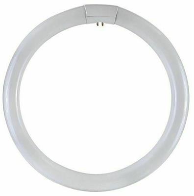 LAMPADINA CIRCOLINA G10Q 32W 6500K