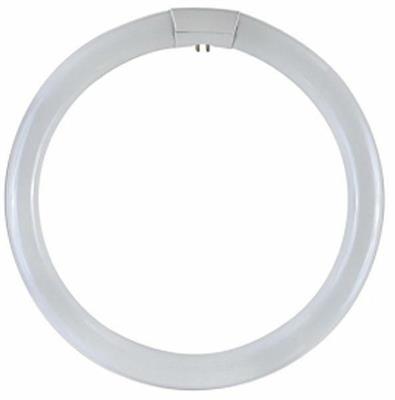 LAMPADINA CIRCOLINA G10Q 40W 6500K 2560LUMEN TRIFOSFORI