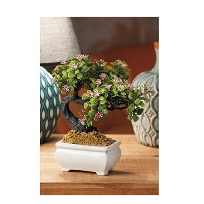 PIANTA BONSAI VASO CERAMICA 19 X 16 X H22 CM 4 COLORI ASS