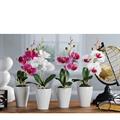 PIANTA ORCHIDEA CON VASO 3 FIORI D. 6,5 X H30 CM