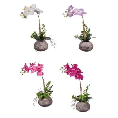 PIANTA ORCHIDEA CON VASO D. 14 X H40 CM 4 COLORI ASS