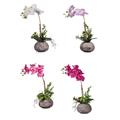 PIANTA ORCHIDEA CON VASO D. 14 X H40 CM 4 COLORI ASS