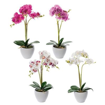 PIANTA ORCHIDEA 16 FIORI CON VASO H50 CM 4 COLORI ASS