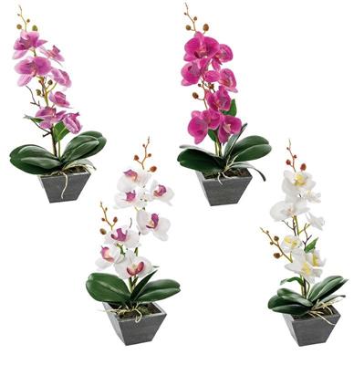 PIANTA ORCHIDEA 7 FIORI CON VASO H35 CM 4 COLORI ASS